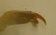 DSCN0540.JPG