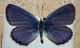 20150829_151552.jpg