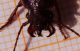 DSC00784.jpg