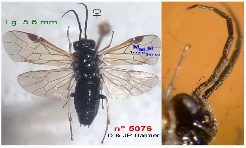 18a - n° 5076 F - Images - Image.jpg