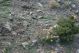 DSC09763.jpg