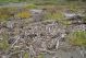 DSC09939.jpg