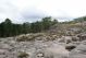 DSC09802.jpg