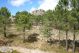 DSC09811.jpg