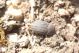 DSC09808.jpg