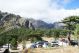 DSC09818.jpg