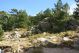 DSC09820.jpg