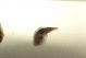 DSC00272.jpg