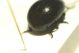 DSC00335.jpg