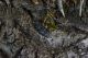 DSC_2946 f.jpg