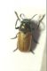 DSC00415.jpg