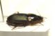 DSC00432.jpg