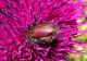 DSCN3307.JPG