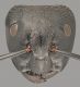 Camponotus vagus_major head sculpture.jpg