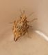DSCN04231.jpg