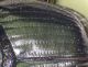 Onthophagus-taurus-elitra.jpg