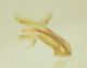 DSCN0838.JPG