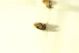 DSC00641.jpg