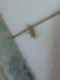 Screenshot_2015-10-29-03-31-51-1.png