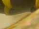 DSCN0958.JPG