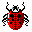 coccy small-.gif