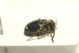 DSC01084.jpg