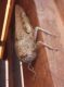 DSCF3544.JPG