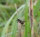 DSCN6930.JPG