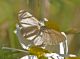 0820150804VENY-069.jpg