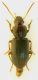 DSCN1055.JPG