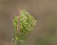 _MG_9929-2.jpg