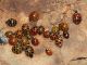 Maccarese_16-12-2015_L26_018.JPG