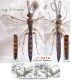 n° 5410 (+ Abd. de 5344 M) - Tromatobia lineatoria M - Forum.jpg