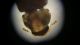20160114_172919.jpg