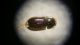 20160114_172754.jpg