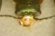 DSCN1317.JPG