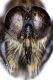 2016-01-22_21-19-24 M=C R=50 S=10.jpg