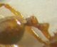 DSCN1352.JPG