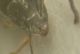 DSCN1371.JPG
