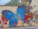 sapienza - entomologia - roma (6).JPG