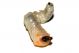 larva1.jpg