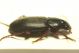 DSC01445.jpg
