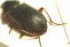 DSC01446.jpg