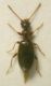 DSCN1417.JPG