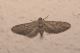 DSCN8024.JPG