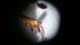 20160226_083412.jpg