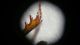 20160226_083428.jpg