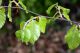 IMG_1103 - Copia.JPG