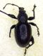 2016-03-10 16-39-08 (B,Radius22,Smoothing4) small .jpg