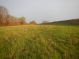 foto marzo alfonsine 2016 017.JPG